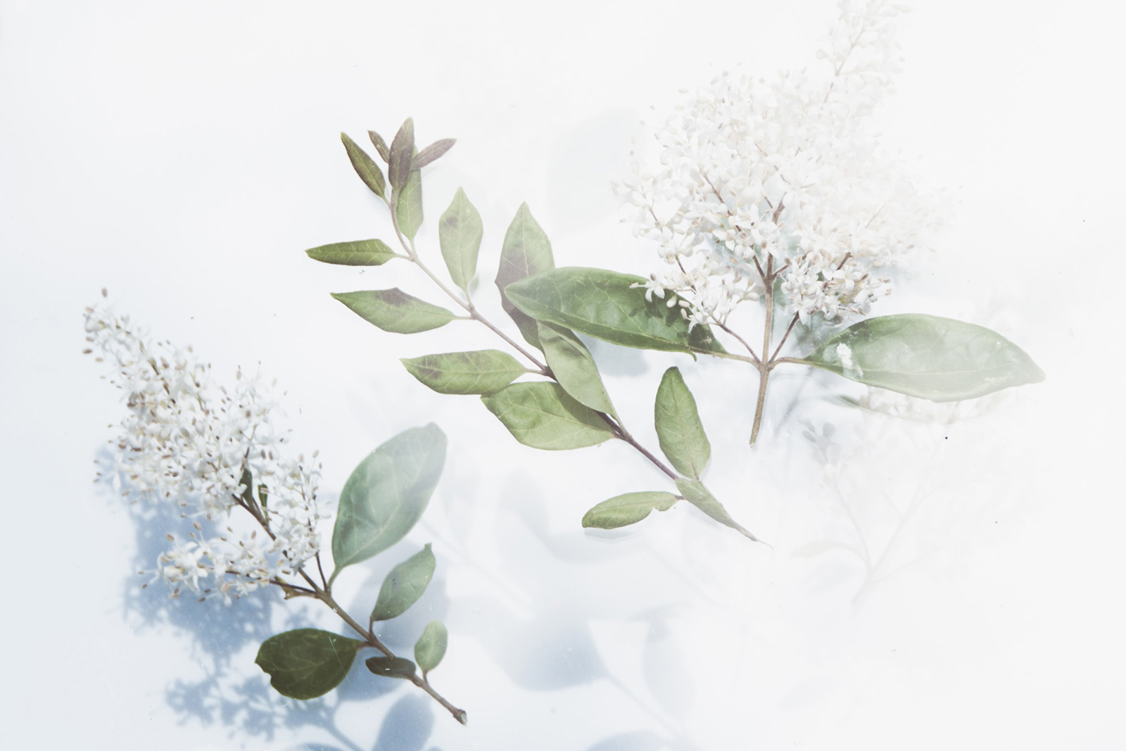 Resources Post Floating Flowers